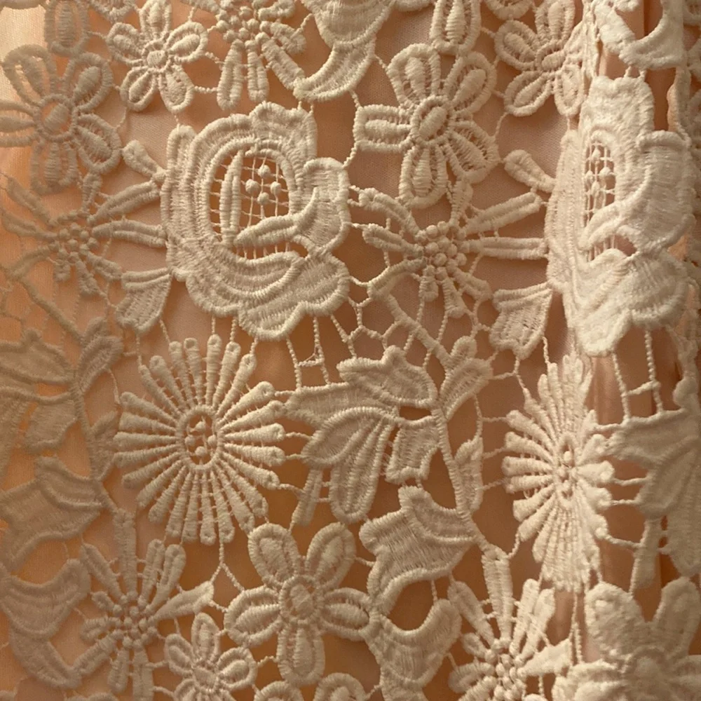 Lulu’s Blush Pink Lace Mini Dress - Picture 5 of 5